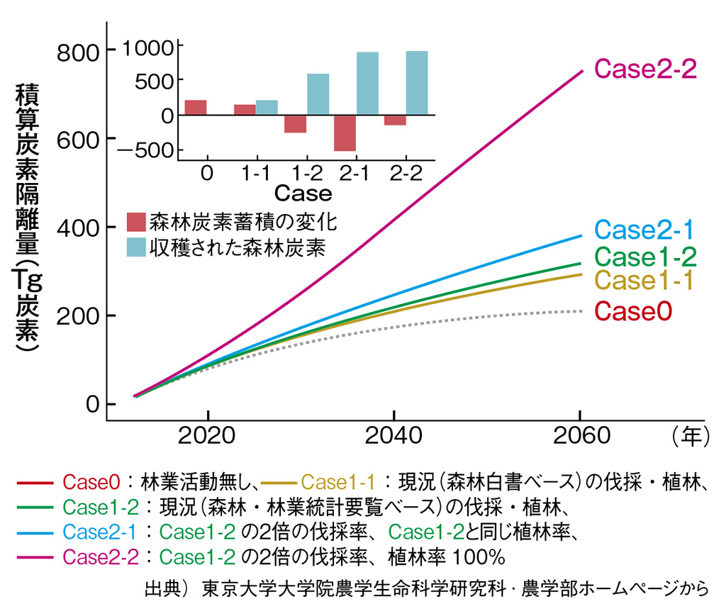 炭素貯蔵グラフ