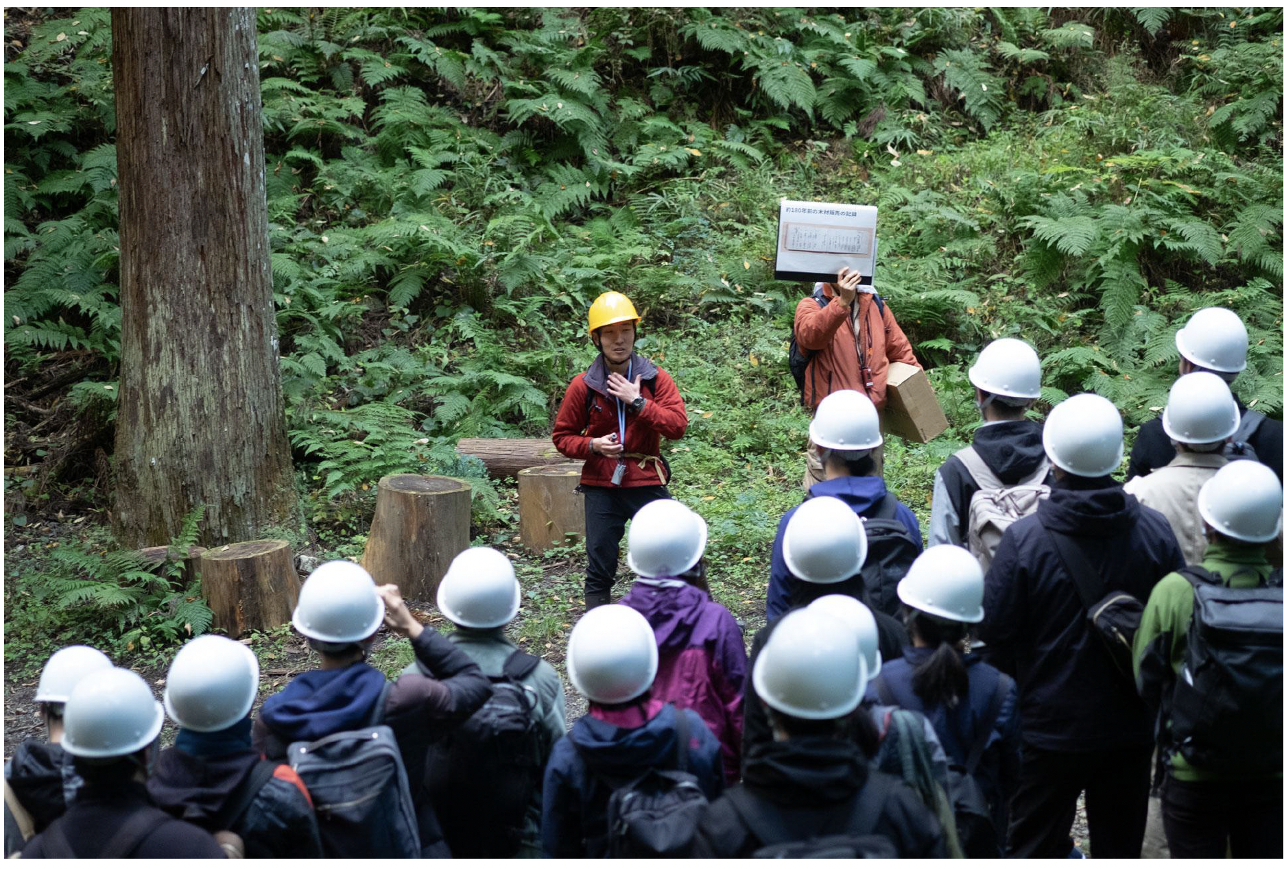 森林研修